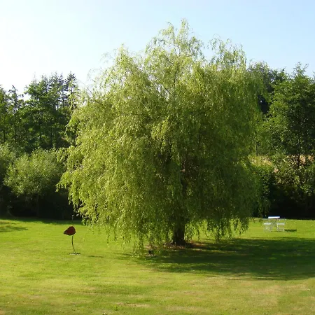 Le Verger De Mathurin *