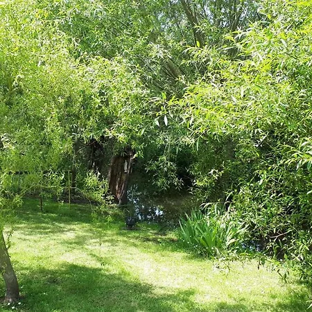 Le Verger De Mathurin *