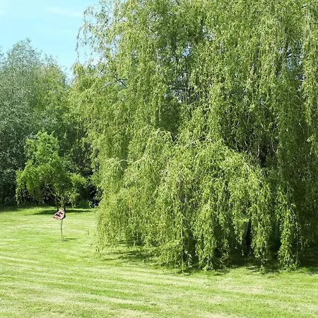 Le Verger De Mathurin Le Molay-Littry