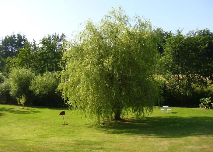 Le Verger De Mathurin *