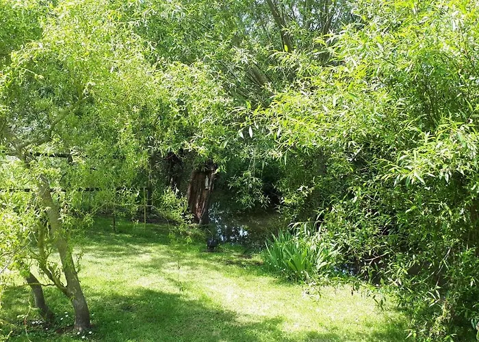 Le Verger De Mathurin *