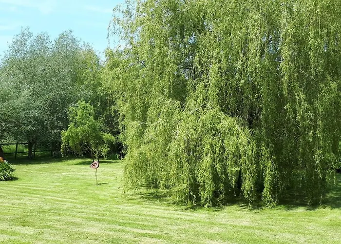 Le Verger De Mathurin Le Molay-Littry