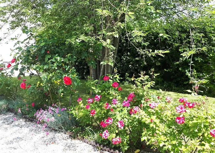 Le Verger De Mathurin